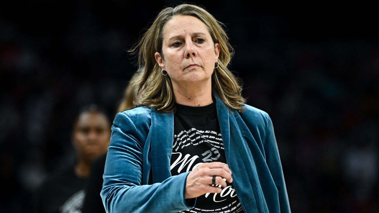 Cheryl Reeve e Carley Knox, do Minnesota Lynx, passam a investir no Minnesota Aurora FC - Imagem do artigo